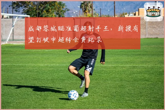 成都蓉城瞄准葡超射手王,新援有望打破中超转会费纪录