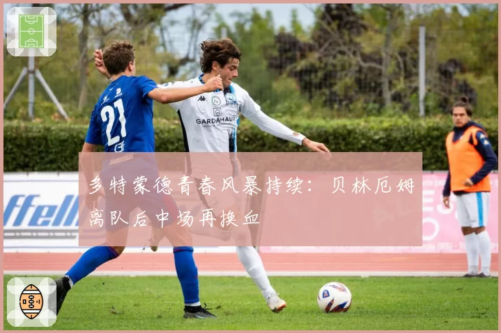 多特蒙德青春风暴持续:贝林厄姆离队后中场再换血