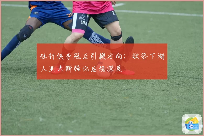 独行侠夺冠后引援方向：欲签下湖人里夫斯强化后场深度