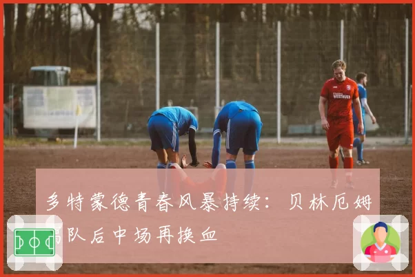 多特蒙德青春风暴持续：贝林厄姆离队后中场再换血